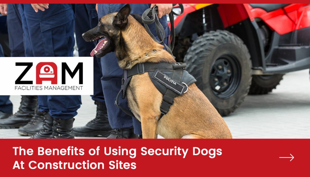 The Benefits of Using Security Dogs at Construction Sites