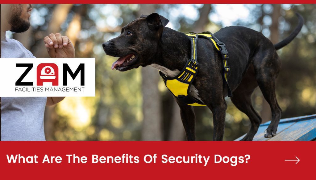 What Are The Benefits Of Security Dogs